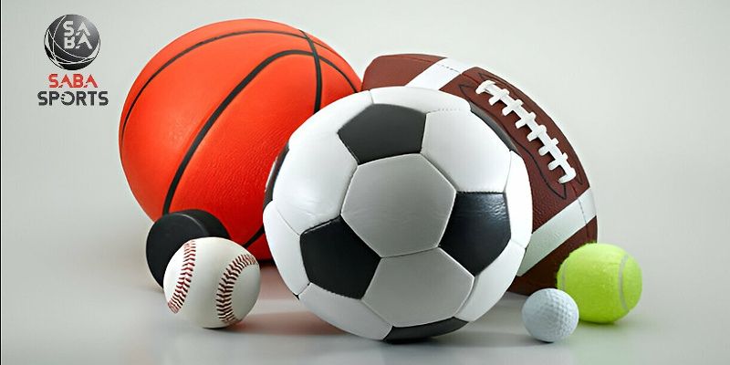 Bộ môn siêu thú vị tại Sapa Sports i9BET