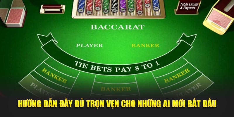 Hướng dẫn đầy đủ trọn vẹn cho những ai mới bắt đầu