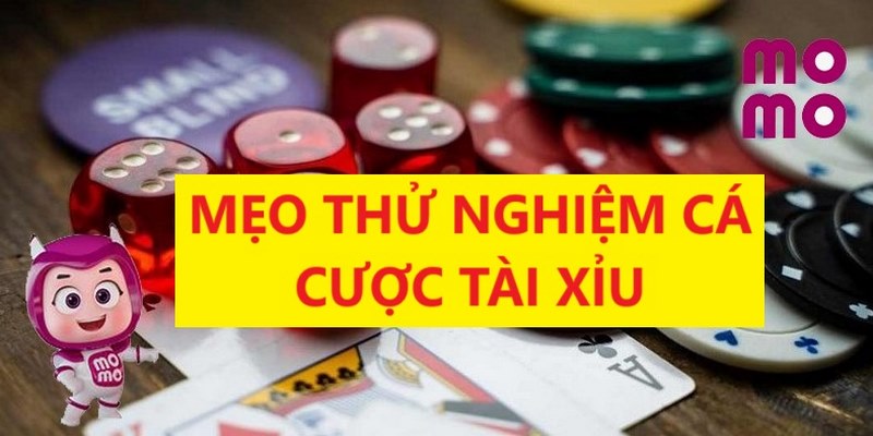 Thử nghiệm đa dạng ván cược là mẹo tăng khả năng chiến thắng